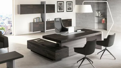 Executive Cabin Design